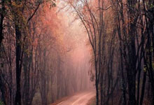 如何开展水土保持现场巡视工作? 如何开展水土保持现场巡视工作?