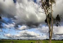 高精度气体分装(二期)项目水土保持方案报告表 高精度气体分装(二期)项目水土保持方案报告表